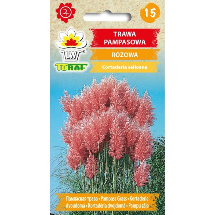 Pampų žolė rožinė