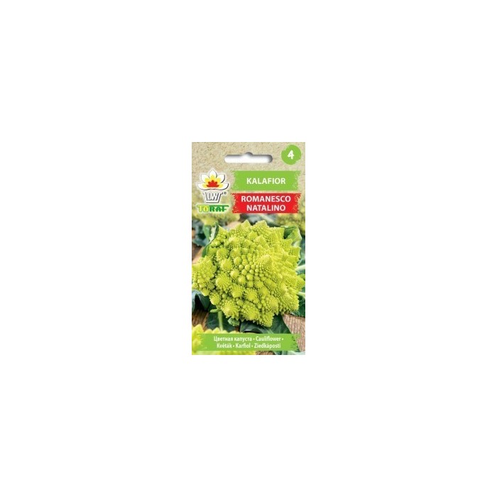 Žiediniai kopūstai Romanesco Natalino 1g