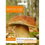Grybiena Boletus edulis (Tikrinis baravykas)