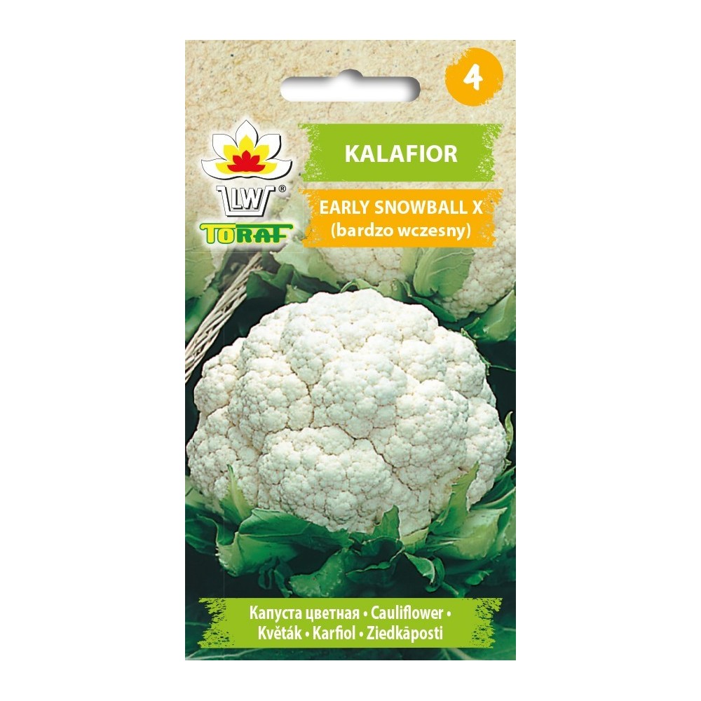 Žiediniai kopūstai Early Snowball  1g