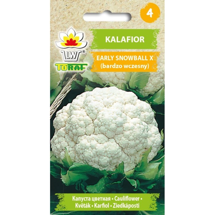 Žiediniai kopūstai Early Snowball  1g