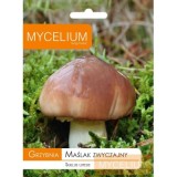 Grybiena Suillis luteus (Tikrasis kazlėkas)