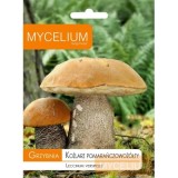 Grybiena Leccinum versipelle (Juosažvynis raudonviršis)