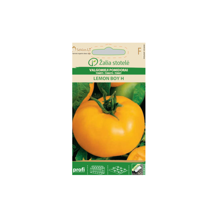 Pomidorai Lemon Boy 10 sėklų