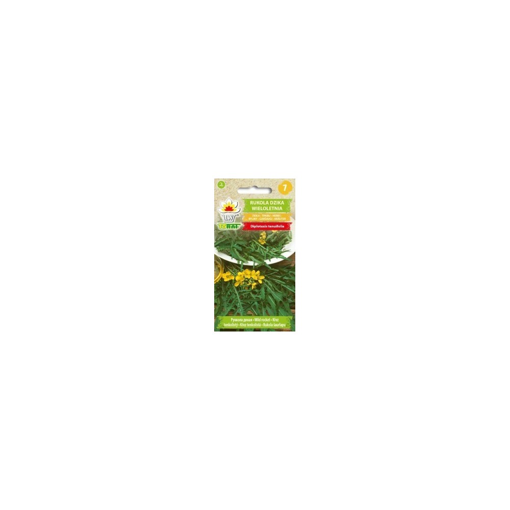 Laukinės gražgarstės (Rucola)