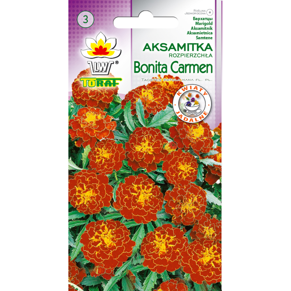 Gvazdikiniai serenčiai "Bonita Carmen" 1gr