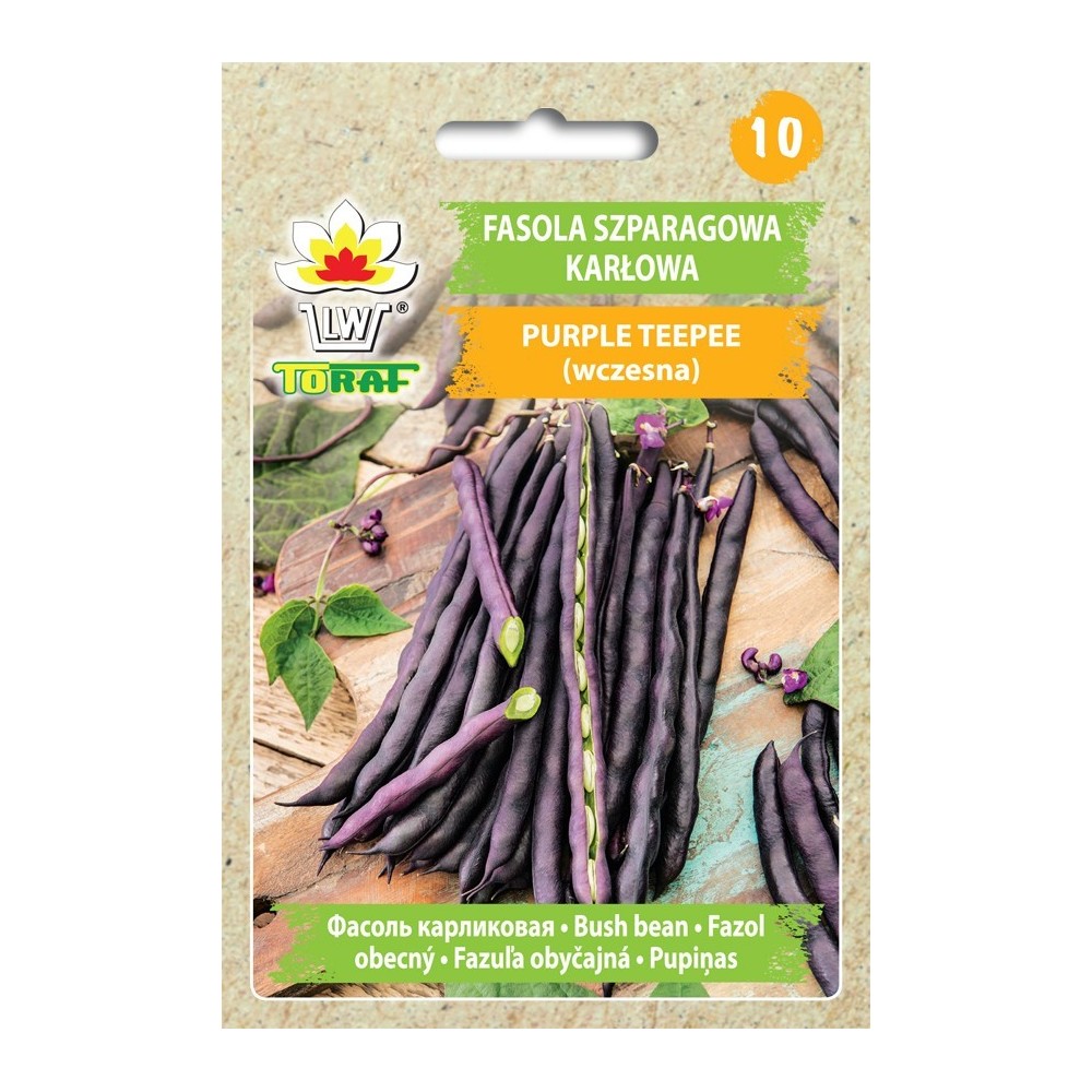 Pupelės Purple Teepee 30gr