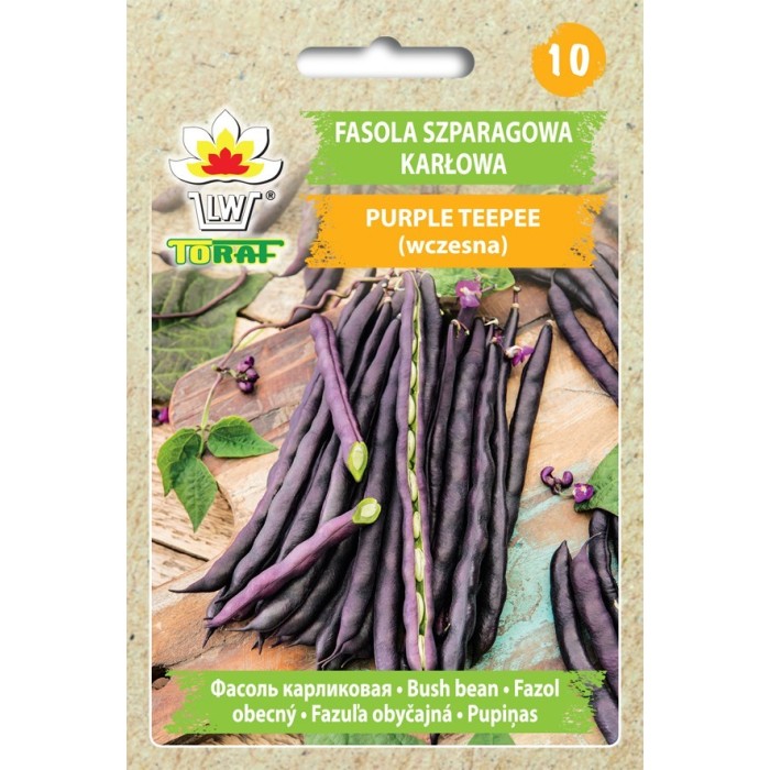 Pupelės Purple Teepee 30gr