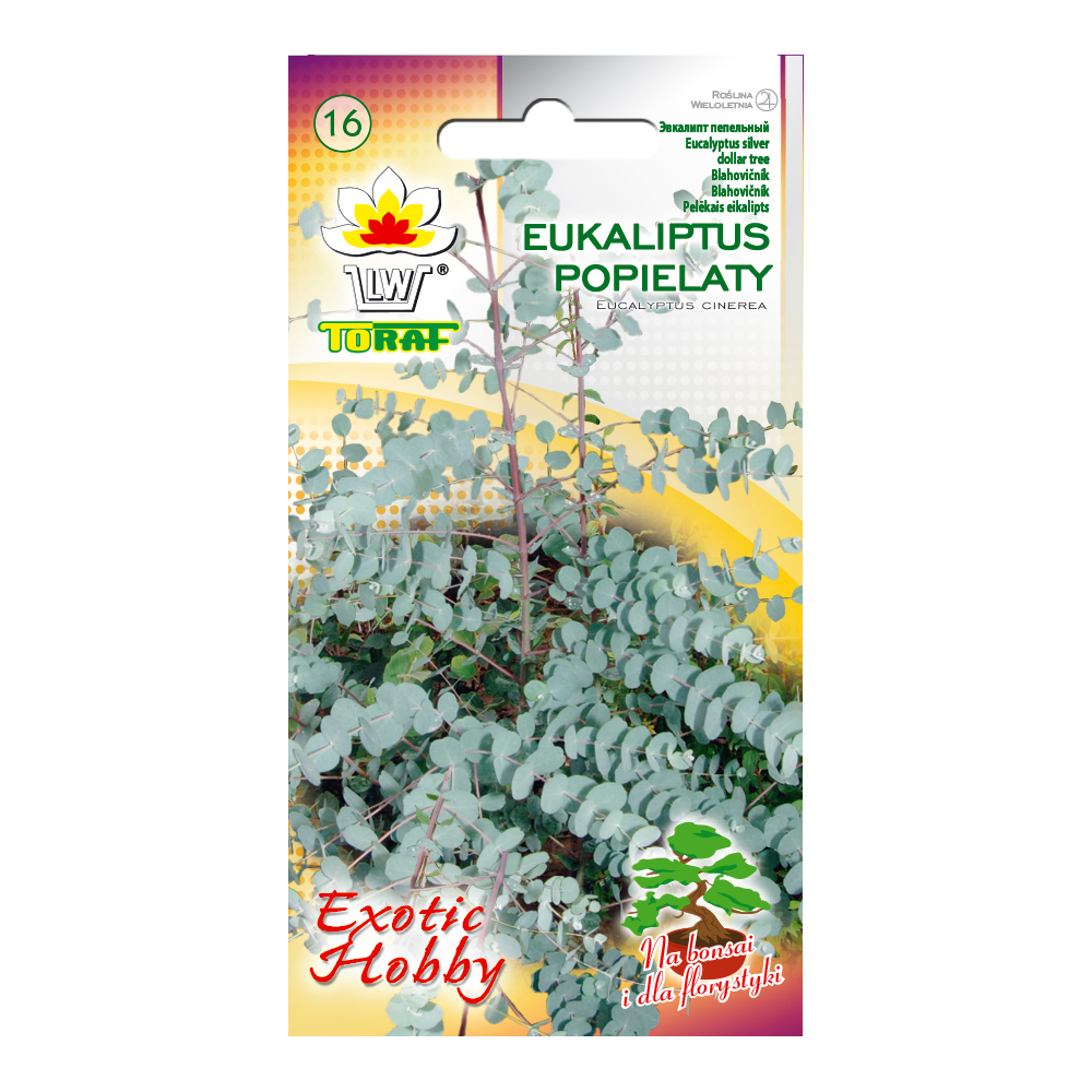 Eukaliptas (Eucalyotus Cinerea) 0,1gr