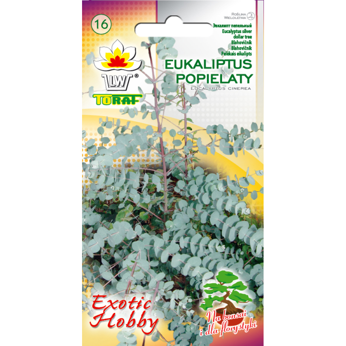Eukaliptas (Eucalyotus Cinerea) 0,1gr