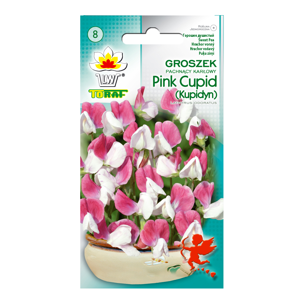 Kvapieji pelėžirniai Pink Cupid 2gr