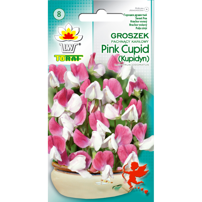 Kvapieji pelėžirniai Pink Cupid 2gr